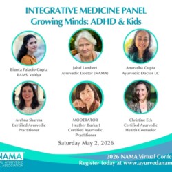 ADHD Panel FULL Facebook