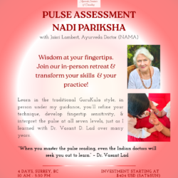 Pulse Assessment Summer 2026